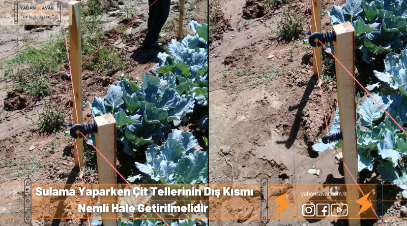 elektirikli çit sistemleri Görseli yabansavar.com.tr elektirikli çit sistemleri çitlere elektrik vermek