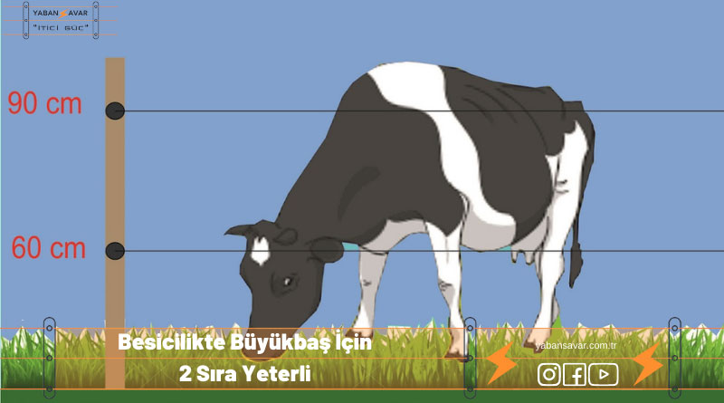 Elektrikli çit sistemi kurulumu nasıl yapılır